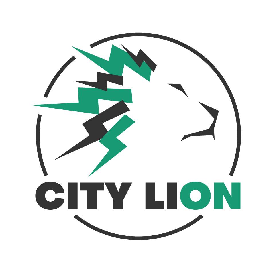 Bateria Do Joyor Y5-S / Y6-S (2) - City Lion