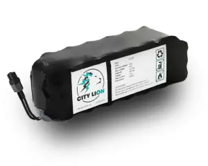 Universal External Battery For 48V Electric Scooter (2) - City Lion
