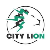 City Lion: Produttore Di Batterie Per Monopattino Elettrico (3) - City Lion