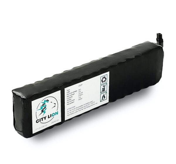 Batteria Interna Per Monopattino Elettrico Kugoo S1 / S1 Pro (1) - City Lion