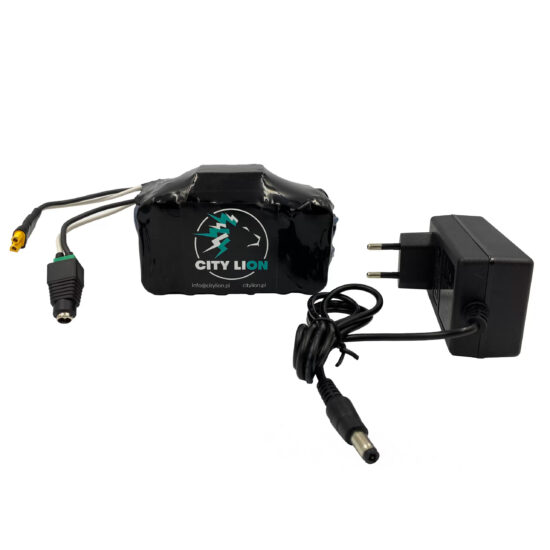 Power Cube (3S Mod 48V) For Xiaomi Mi Electric Scooter M365 / Pro / Essential (3) - City Lion