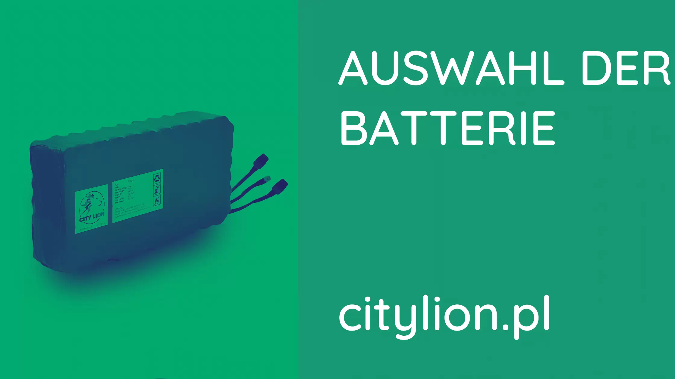 Welche Batterie ist die beste für einen Elektroroller?
