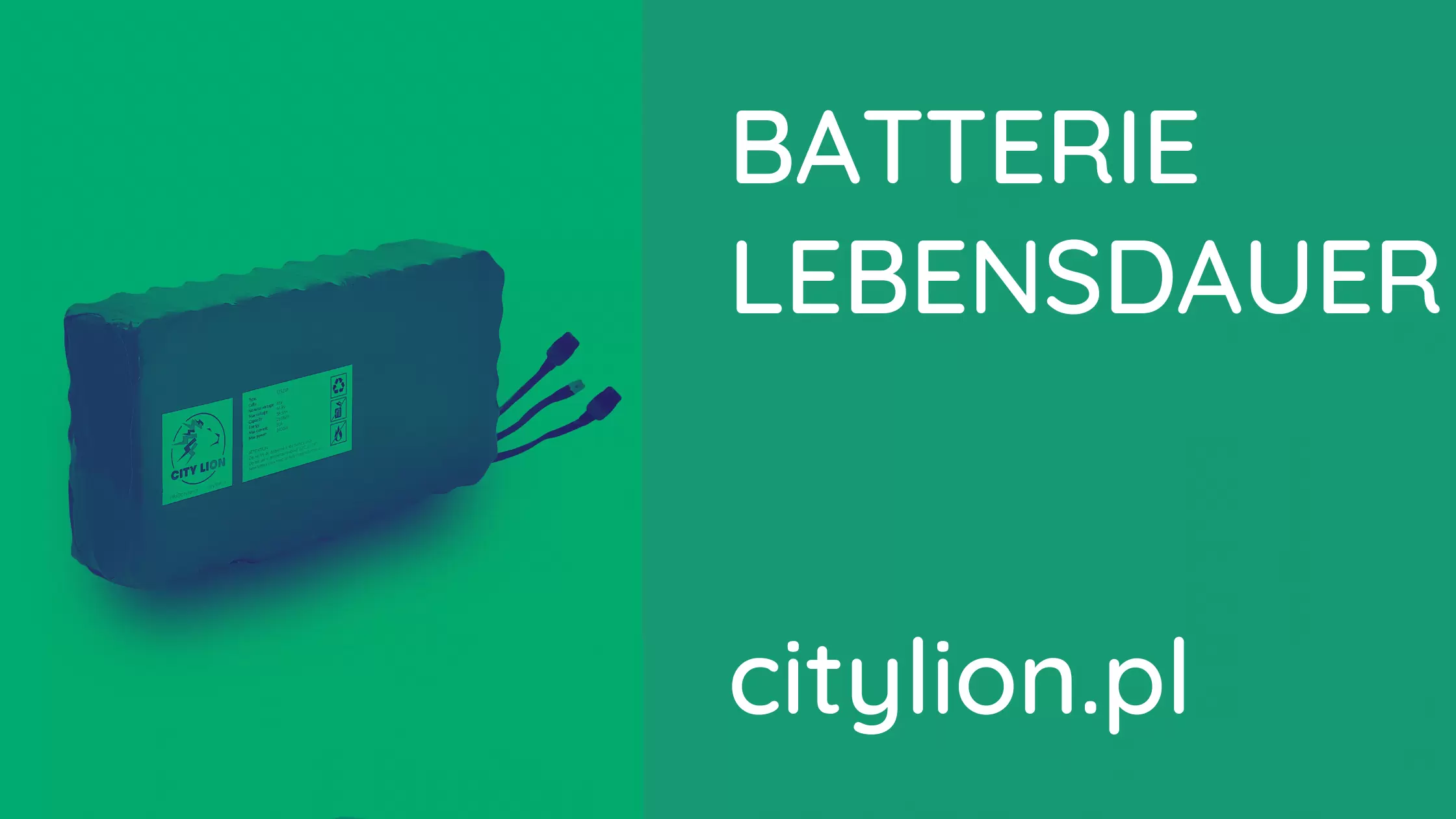 Wie pflegt man die Batterie des Elektrorollers?