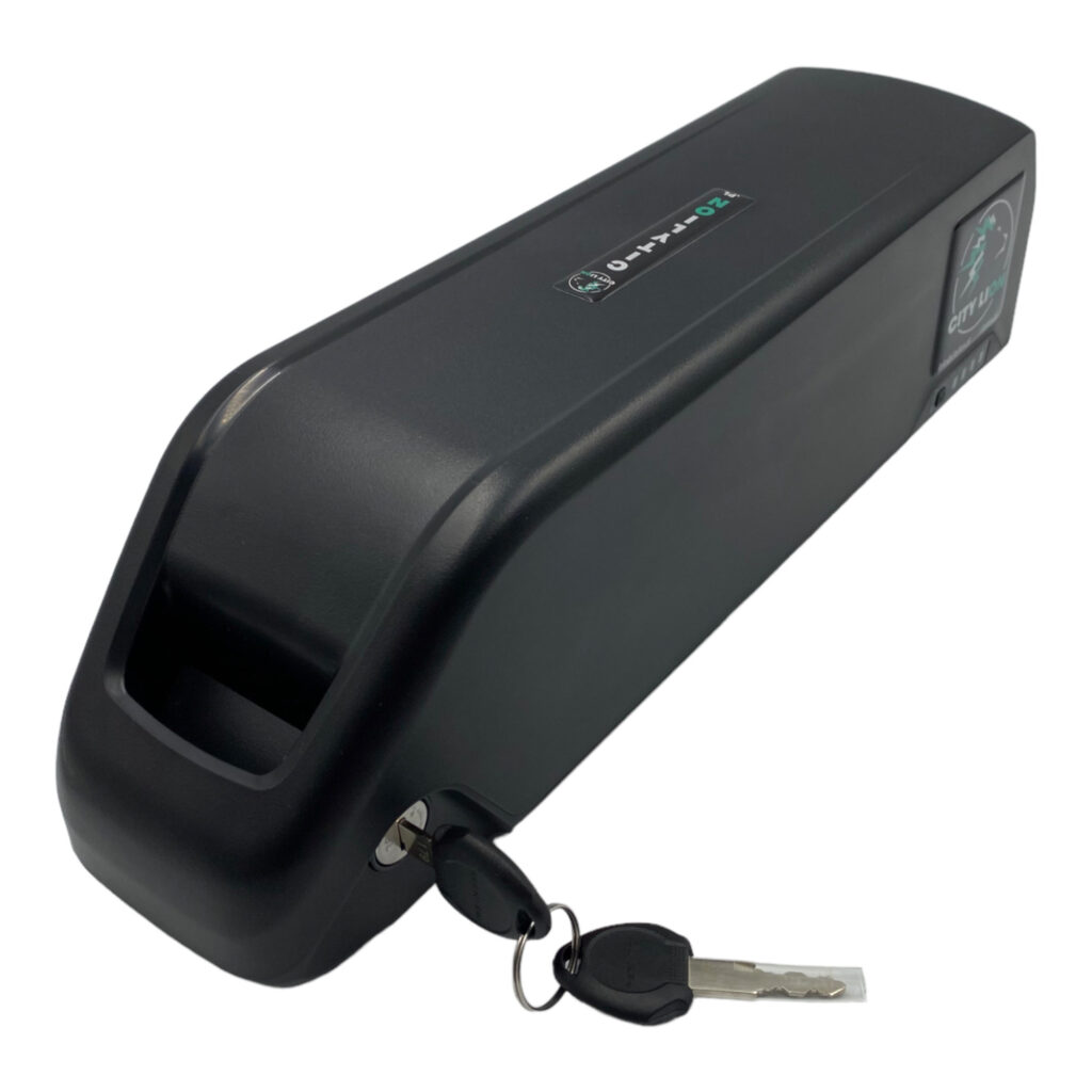 Battery For Electric Bike 36V 25Ah 1000W Li-Ion Down Tube E-Bike Battery For Electric Bike 36V 25Ah 1000W Li-Ion Down Tube E-Bike (2) - City Lion