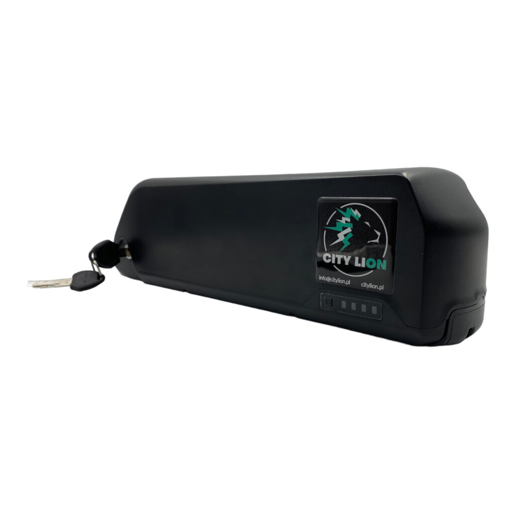 Battery For Electric Bike 36V 25Ah 1000W Li-Ion Down Tube E-Bike Battery For Electric Bike 36V 25Ah 1000W Li-Ion Down Tube E-Bike (4) - City Lion