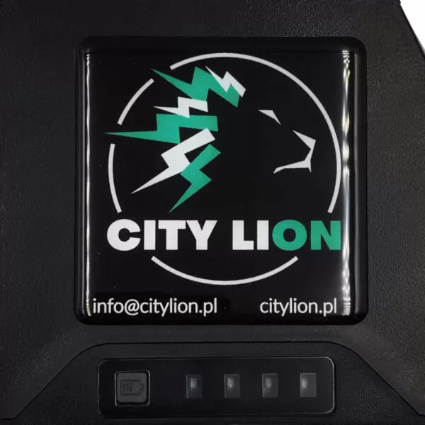 Batterie Pour Vélo Électrique 36V 15Ah 500W Li-Ion Down Tube E-Bike Avec Chargeur (5) - City Lion