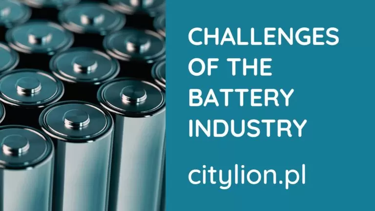 Challenges of the battery industry