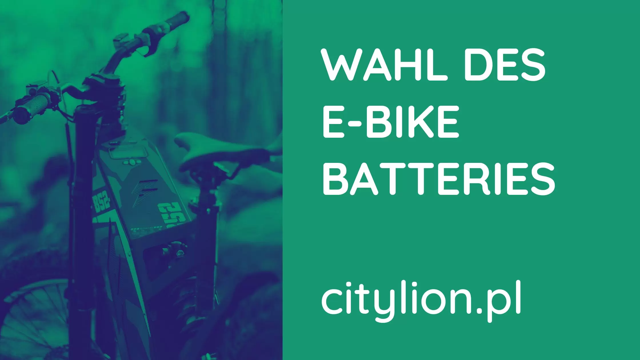 Wahl-Des-E-Bike-Batteries