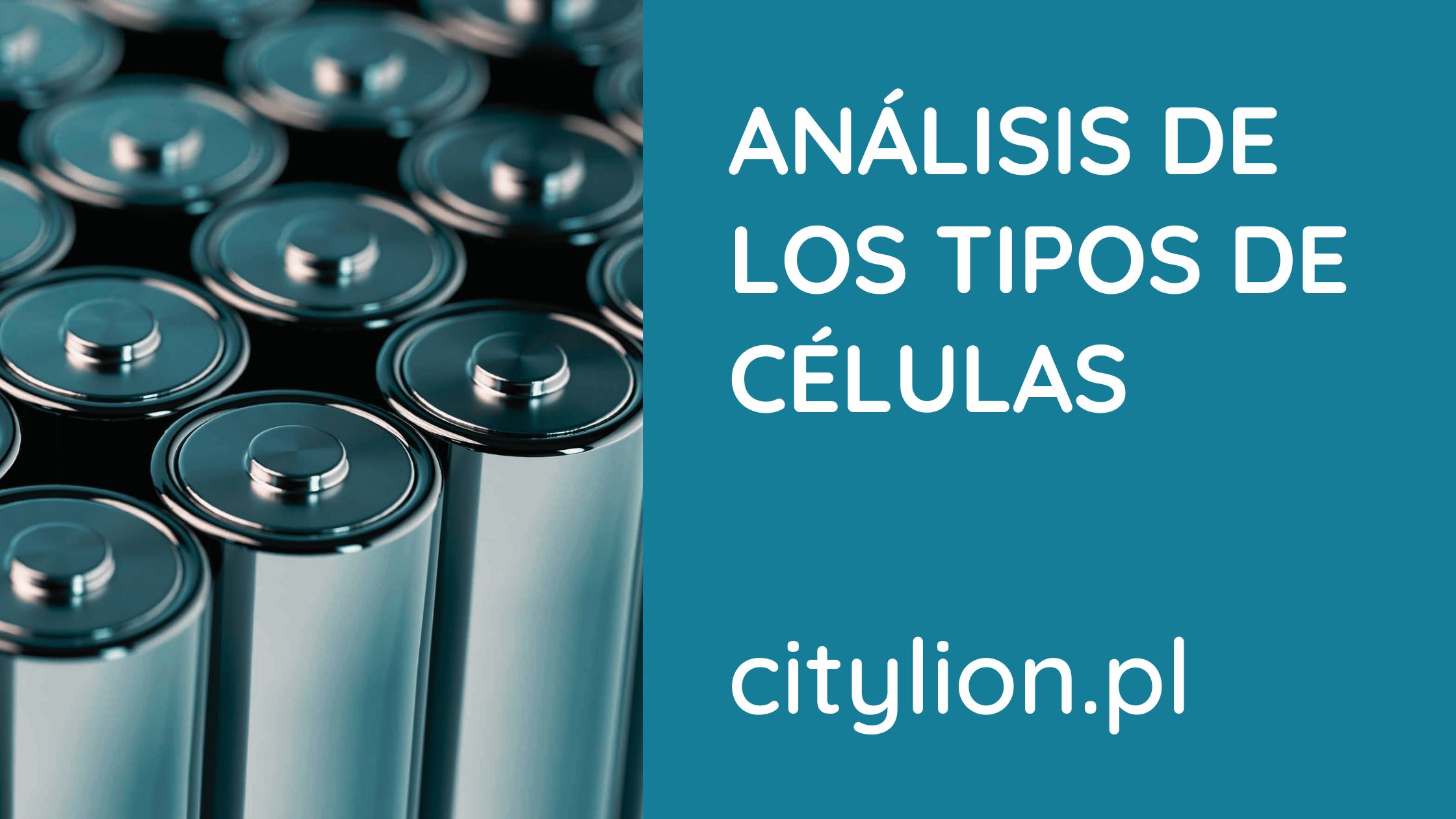 Analisis-De-Los-Tipos-De-Celulas