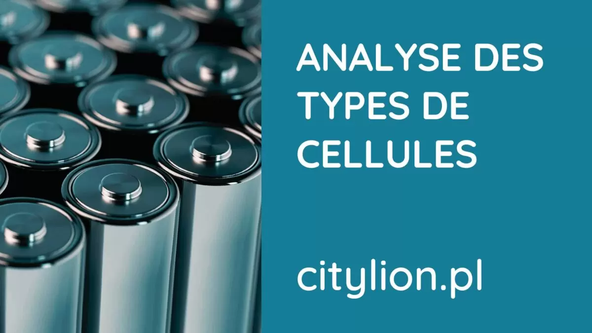 Analyse des types de cellules