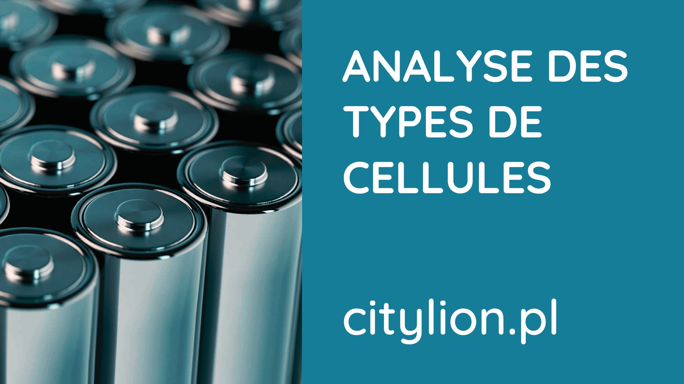 Analyse-De-Types-De-Cellules