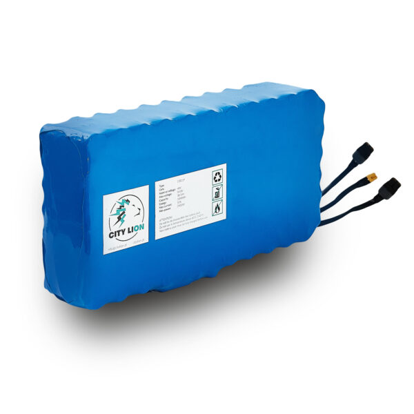 Batterie Interne De Trottinette Électrique Honghao S12 / S13 (1) - City Lion