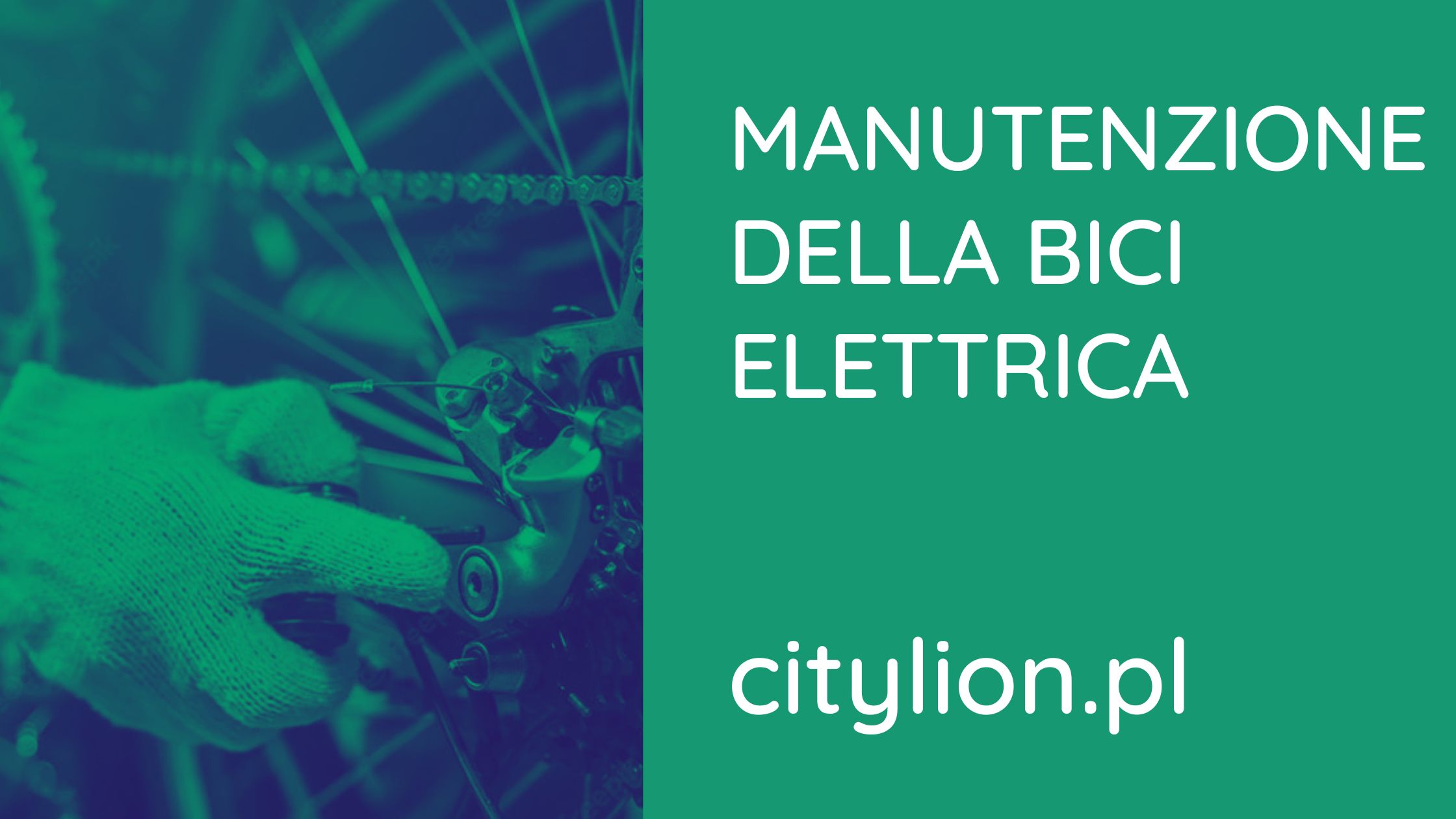 Manutenzione-Della-Bici-Elettrica