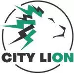 City Lion